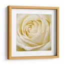 Flor De Pared Iii - Alonzo Saunders | Cuadro decorativo de Canvas Lab