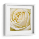 Flor De Pared Iii - Alonzo Saunders | Cuadro decorativo de Canvas Lab