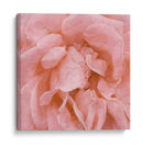 Muro Flor Iv - Alonzo Saunders | Cuadro decorativo de Canvas Lab