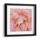 Muro Flor Iv - Alonzo Saunders | Cuadro decorativo de Canvas Lab