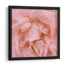 Muro Flor Iv - Alonzo Saunders | Cuadro decorativo de Canvas Lab