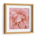 Muro Flor Iv - Alonzo Saunders | Cuadro decorativo de Canvas Lab