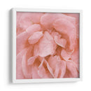 Muro Flor Iv - Alonzo Saunders | Cuadro decorativo de Canvas Lab