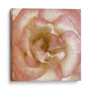 Flor De Pared Vi - Alonzo Saunders | Cuadro decorativo de Canvas Lab