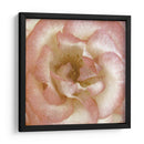 Flor De Pared Vi - Alonzo Saunders | Cuadro decorativo de Canvas Lab