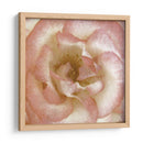 Flor De Pared Vi - Alonzo Saunders | Cuadro decorativo de Canvas Lab