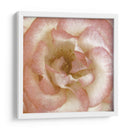 Flor De Pared Vi - Alonzo Saunders | Cuadro decorativo de Canvas Lab