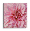 Flor De Pared Vii - Alonzo Saunders | Cuadro decorativo de Canvas Lab