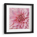 Flor De Pared Vii - Alonzo Saunders | Cuadro decorativo de Canvas Lab