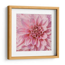 Flor De Pared Vii - Alonzo Saunders | Cuadro decorativo de Canvas Lab