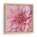 Flor De Pared Vii - Alonzo Saunders | Cuadro decorativo de Canvas Lab