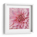 Flor De Pared Vii - Alonzo Saunders | Cuadro decorativo de Canvas Lab