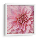 Flor De Pared Vii - Alonzo Saunders | Cuadro decorativo de Canvas Lab