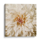 Flor De Pared Viii - Alonzo Saunders | Cuadro decorativo de Canvas Lab