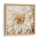 Flor De Pared Viii - Alonzo Saunders | Cuadro decorativo de Canvas Lab