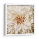 Flor De Pared Viii - Alonzo Saunders | Cuadro decorativo de Canvas Lab