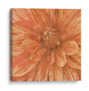 Flor De Pared Ix - Alonzo Saunders | Cuadro decorativo de Canvas Lab