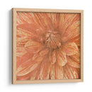 Flor De Pared Ix - Alonzo Saunders | Cuadro decorativo de Canvas Lab