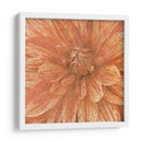 Flor De Pared Ix - Alonzo Saunders | Cuadro decorativo de Canvas Lab