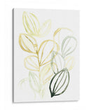 Spectrum De Semillo I - June Erica Vess | Cuadro decorativo de Canvas Lab