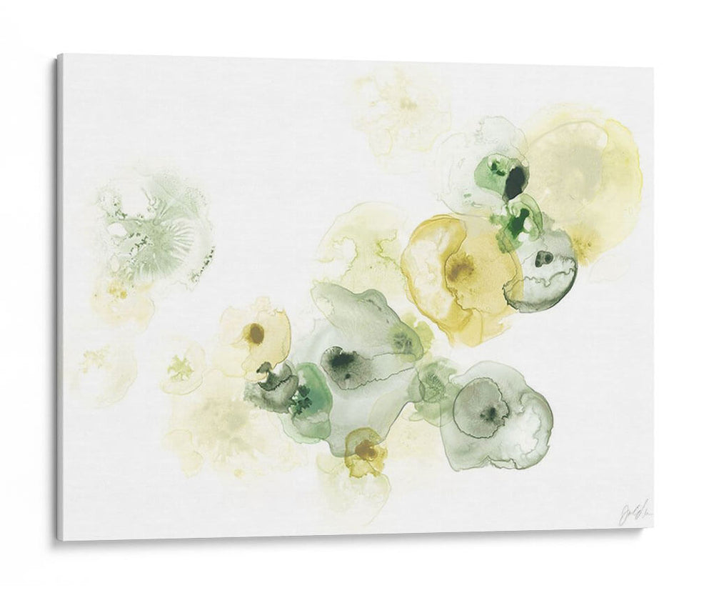 Lichen Rock I - June Erica Vess | Cuadro decorativo de Canvas Lab