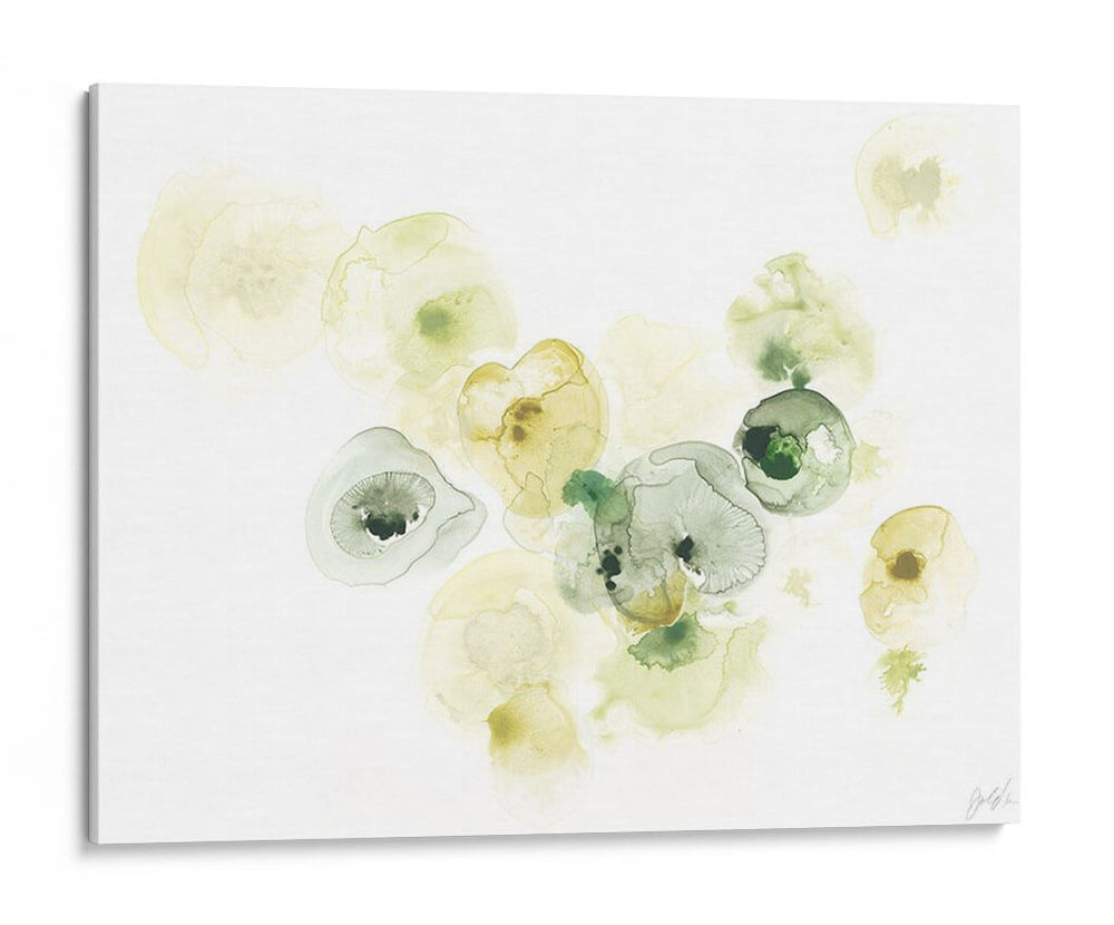Lichen Rock Ii - June Erica Vess | Cuadro decorativo de Canvas Lab
