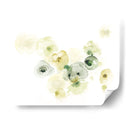 Lichen Rock Ii - June Erica Vess | Cuadro decorativo de Canvas Lab