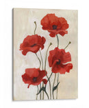 Bouquet De Amapola Iii - Emma Scarvey | Cuadro decorativo de Canvas Lab