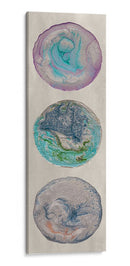 Planeta Trio I - Alicia Ludwig | Cuadro decorativo de Canvas Lab