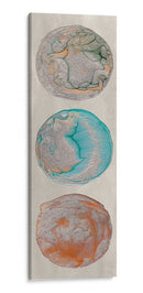 Planeta Trio Ii - Alicia Ludwig | Cuadro decorativo de Canvas Lab