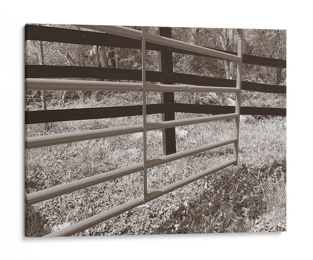 Estudio De La Granja Sepia I - Alicia Ludwig | Cuadro decorativo de Canvas Lab