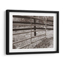 Estudio De La Granja Sepia I - Alicia Ludwig | Cuadro decorativo de Canvas Lab