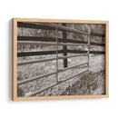 Estudio De La Granja Sepia I - Alicia Ludwig | Cuadro decorativo de Canvas Lab