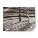 Estudio De La Granja Sepia I - Alicia Ludwig | Cuadro decorativo de Canvas Lab