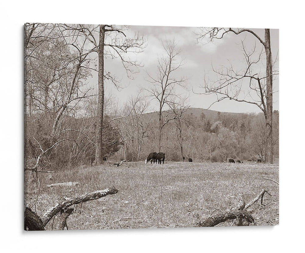 Sepia Granja Estudio Ii - Alicia Ludwig | Cuadro decorativo de Canvas Lab