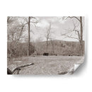 Sepia Granja Estudio Ii - Alicia Ludwig | Cuadro decorativo de Canvas Lab