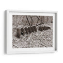 Sepia Granja Estudio Iii - Alicia Ludwig | Cuadro decorativo de Canvas Lab