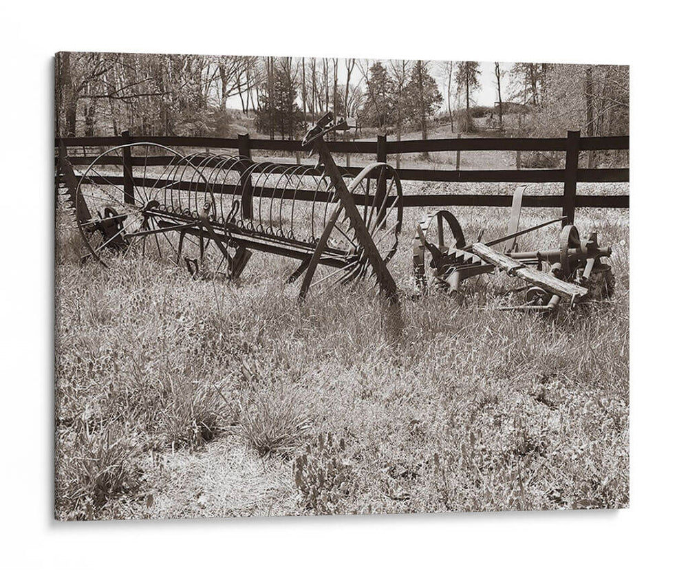 Sepia Farm Study Iv - Alicia Ludwig | Cuadro decorativo de Canvas Lab