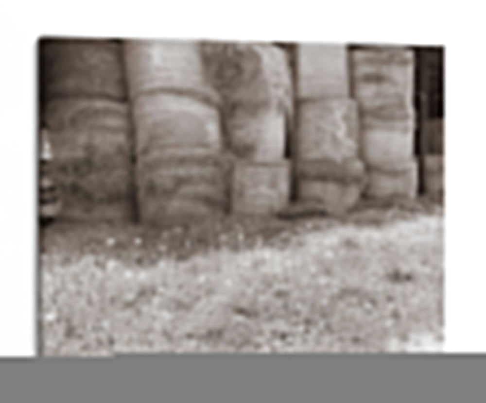 Sepia Granja Estudio V - Alicia Ludwig | Cuadro decorativo de Canvas Lab