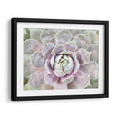 Suculento Brillo I - Jason Johnson | Cuadro decorativo de Canvas Lab