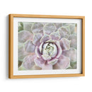 Suculento Brillo I - Jason Johnson | Cuadro decorativo de Canvas Lab