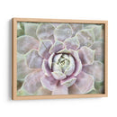 Suculento Brillo I - Jason Johnson | Cuadro decorativo de Canvas Lab