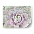 Suculento Brillo I - Jason Johnson | Cuadro decorativo de Canvas Lab