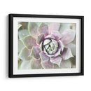 Suculento Brillo Ii - Jason Johnson | Cuadro decorativo de Canvas Lab