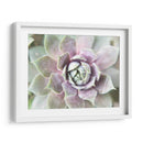 Suculento Brillo Ii - Jason Johnson | Cuadro decorativo de Canvas Lab