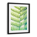 Helecho Brillo I - Jason Johnson | Cuadro decorativo de Canvas Lab