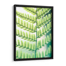 Helecho Brillo I - Jason Johnson | Cuadro decorativo de Canvas Lab