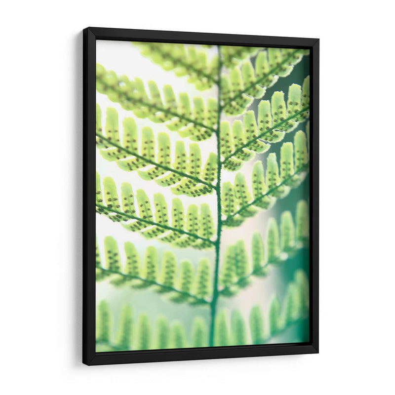 Helecho Brillo I - Jason Johnson | Cuadro decorativo de Canvas Lab