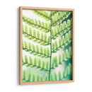 Helecho Brillo I - Jason Johnson | Cuadro decorativo de Canvas Lab