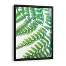 Fern Glow Ii - Jason Johnson | Cuadro decorativo de Canvas Lab